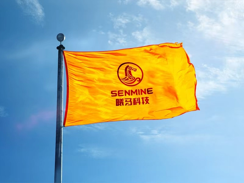 SENMINE2