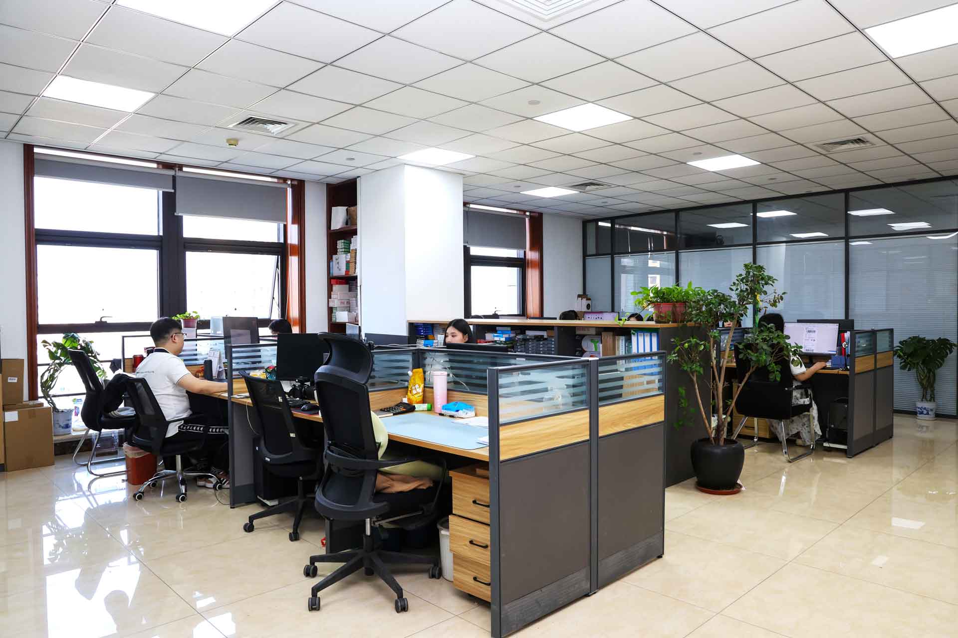 SENMINE
